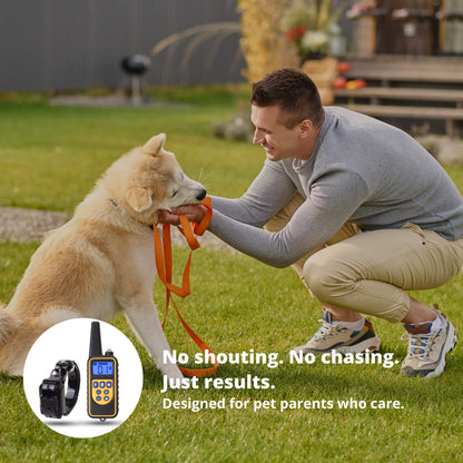 Befez Rechargeable Waterproof Dog Training Collar