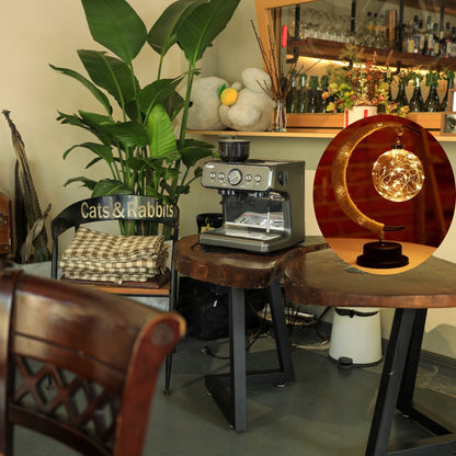 Elegant Metal LED Desk Lamp