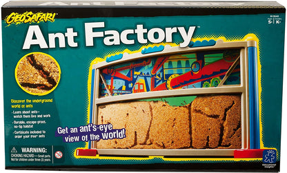 Interactive Kids Ant Habitat STEM Kit