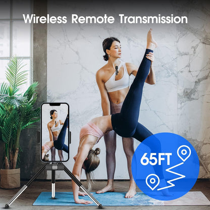 Compact Dual Wireless Mics for iPhone iPad