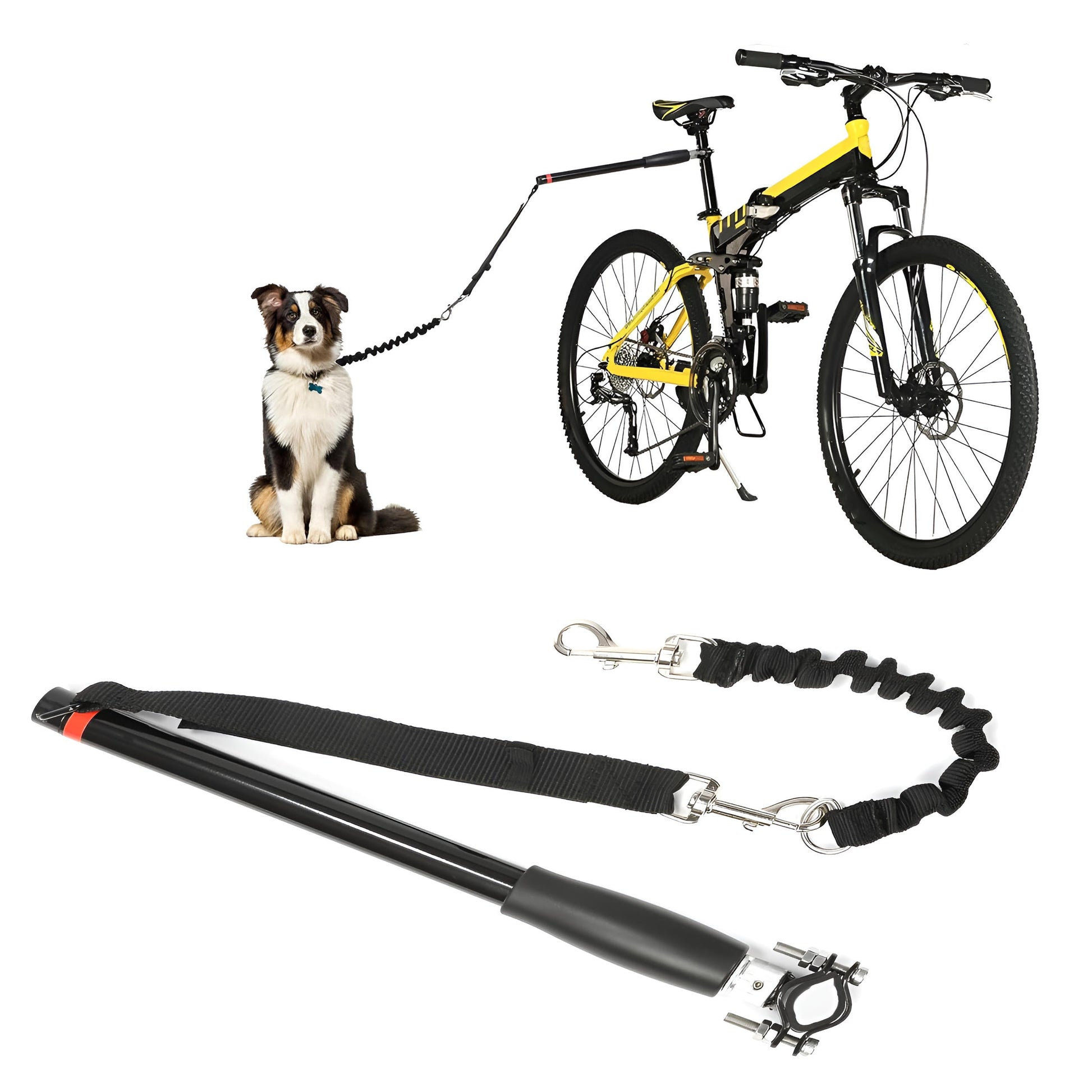 Pet Bicycle Safety Leash - Befez
