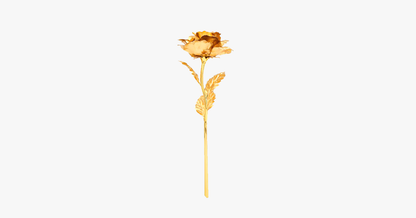 Luxury Gold Rose Gift Set in Box