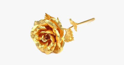 Luxury Gold Rose Gift Set in Box