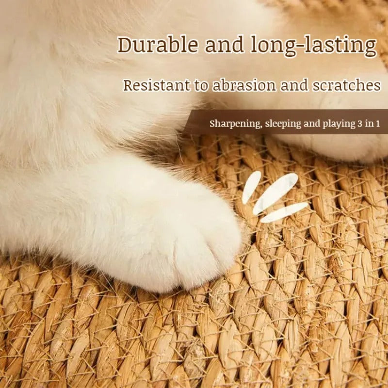 Durable Scratch Guard Cat Tower