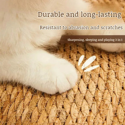 Durable Scratch Guard Cat Tower