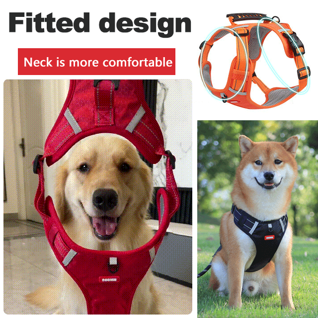 Comfortable No-Choke Dog Vest for Small Pets