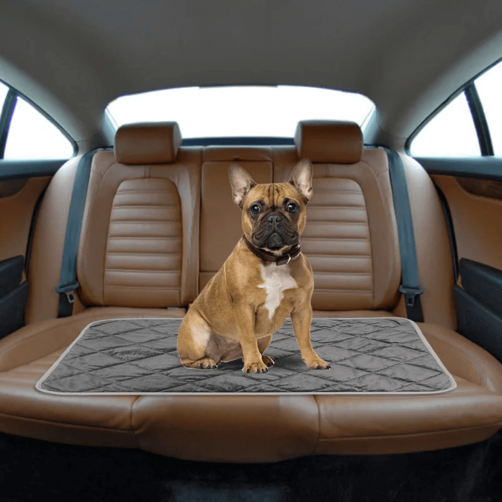 Warm Therapeutic Dog Heating Mat