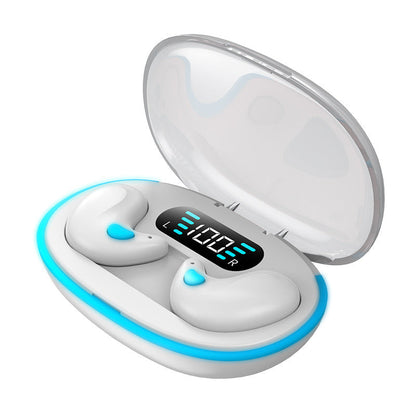 Clear Audio Invisible Earbuds