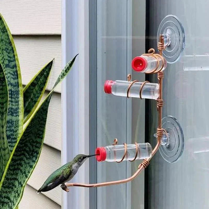 Bird Watching Window Feeder