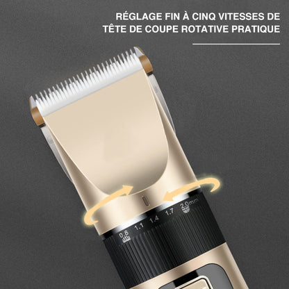 Premium Pet Grooming Tool Set