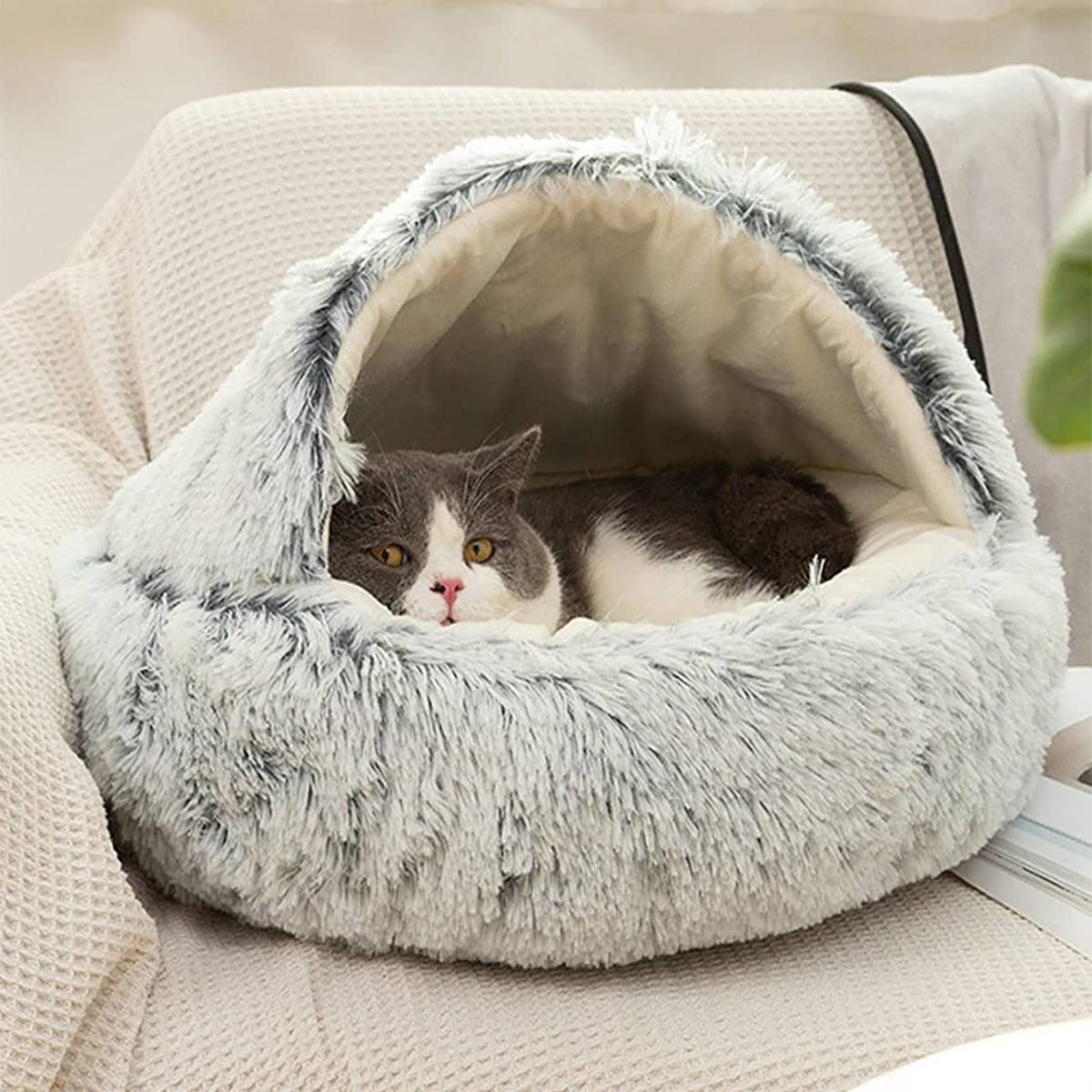 Cozy Pet Bed for Calm Sleep