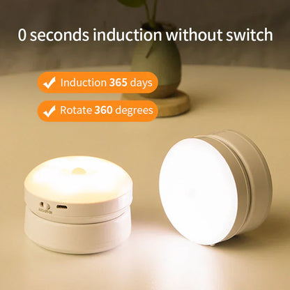 Automatic LED Plug Night Light