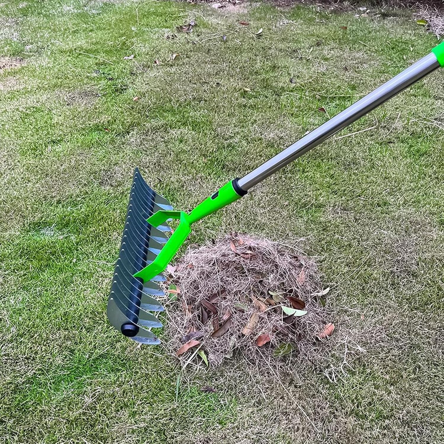Effective Lawn Rake for Removing Dead Grass - Befez