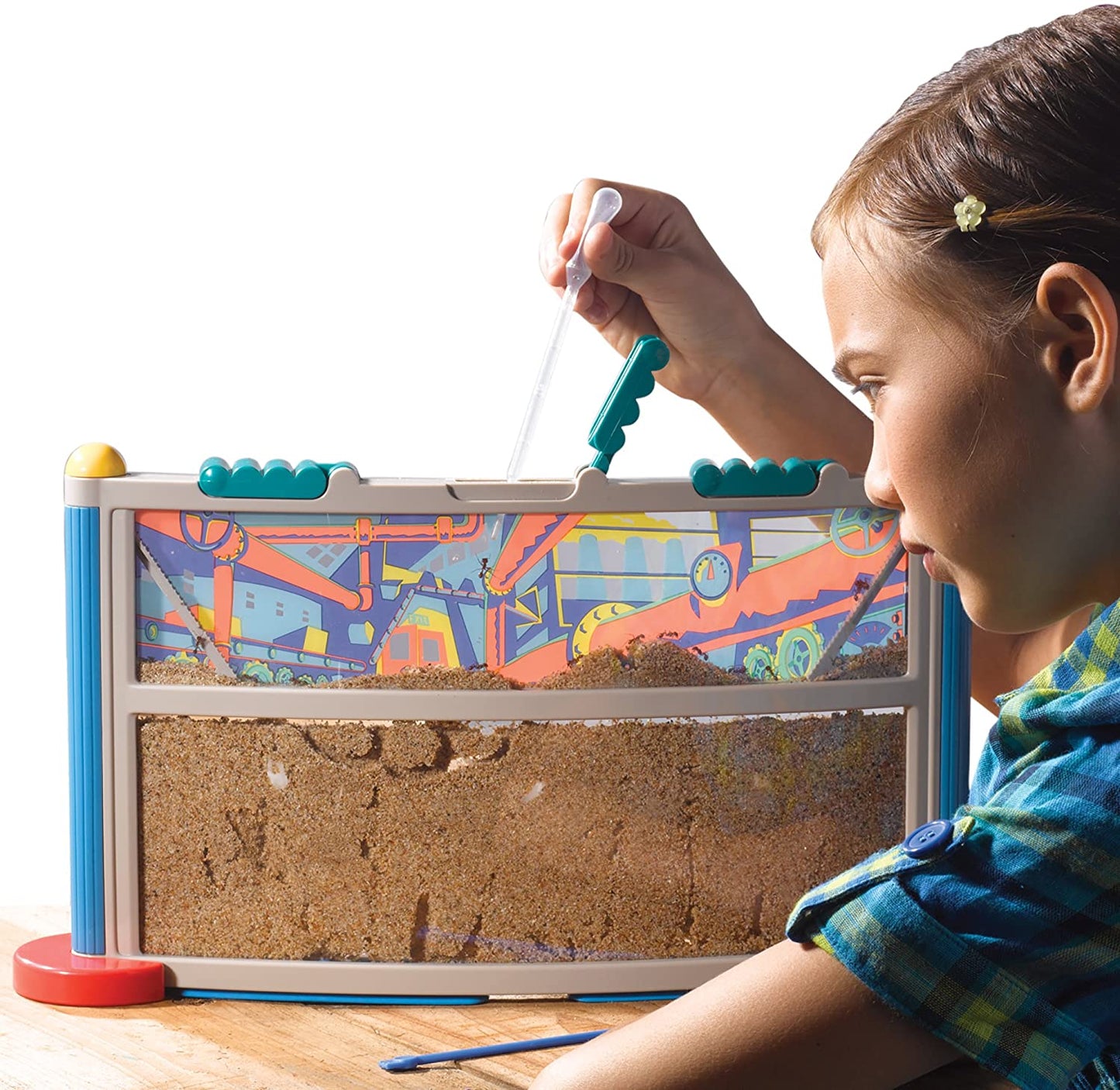 Interactive Kids Ant Habitat STEM Kit