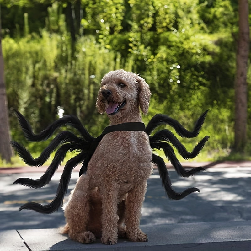 Cute Pet Spider Dog Halloween Costume - Befez