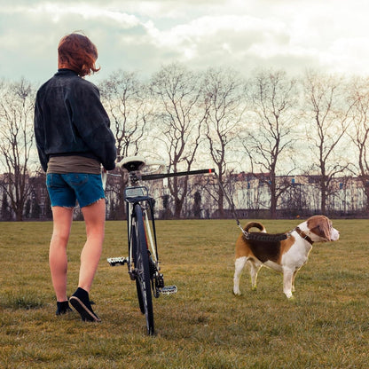 Pet Bicycle Safety Leash