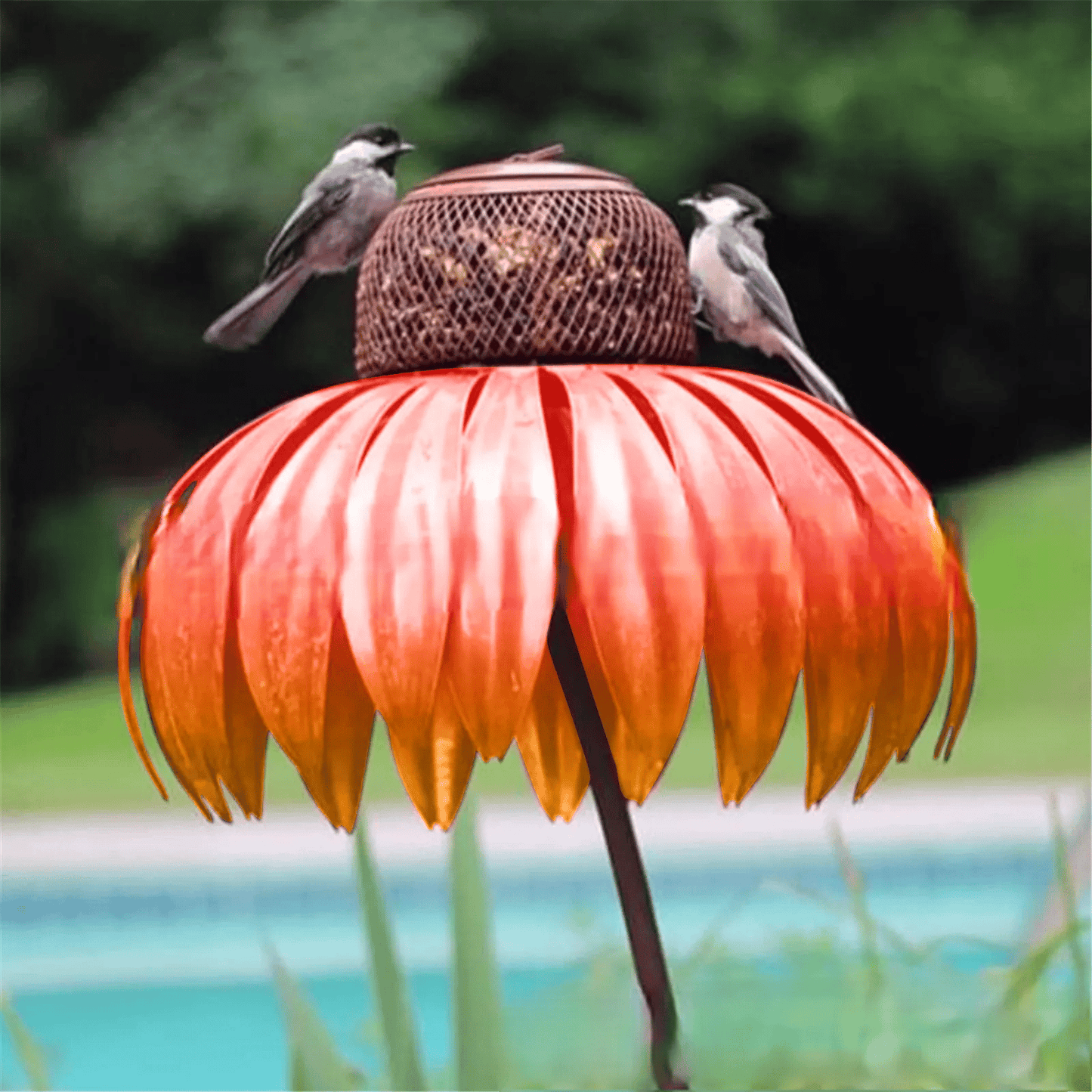 Colorful Bird Feeder with Free Flower Seeds