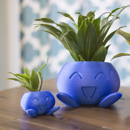 Colorful Planter Box for Happy Plants