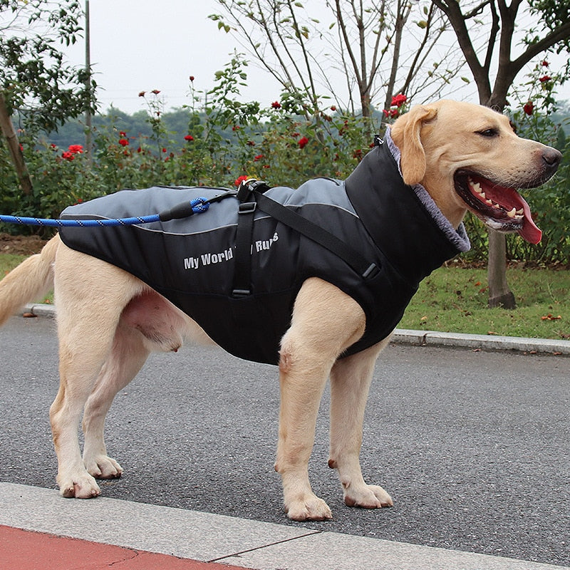 Waterproof Insulated Dog Coats