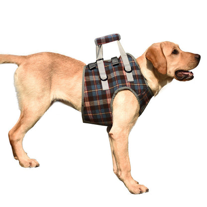 Supportive Dog Leg Brace Strap
