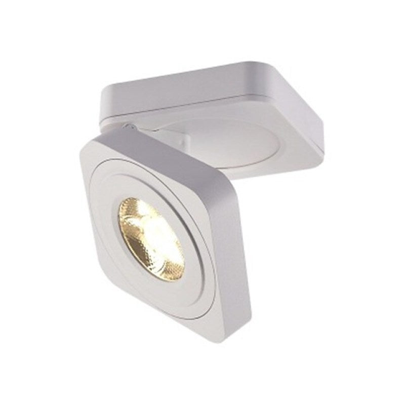 Modern Metal Ceiling Spot Light
