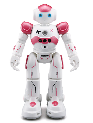 Smart RC Robot Toy