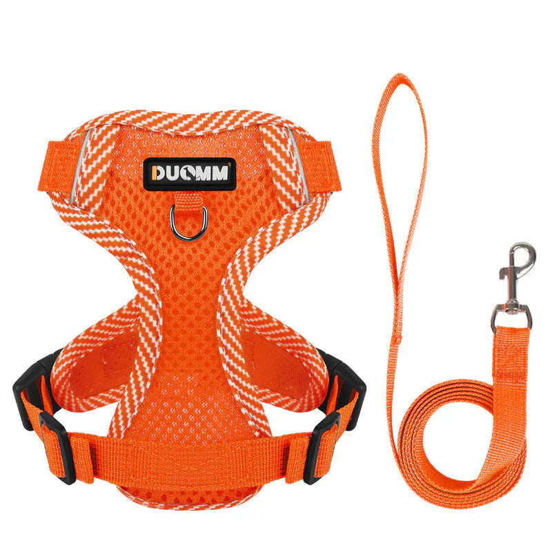 Visible Puppy Harness and Lead Set for Little Dogs