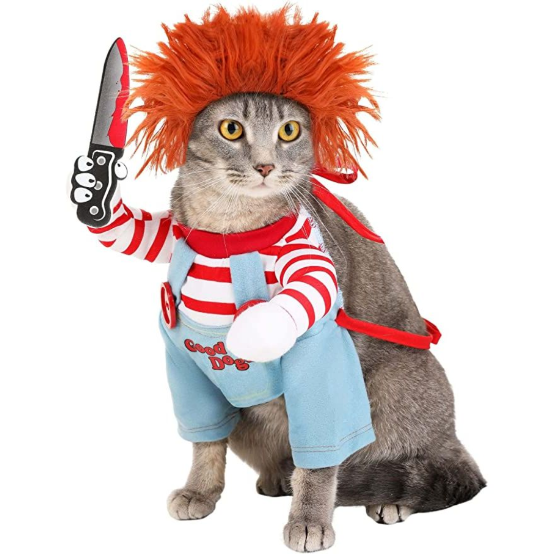 Funny Pet Halloween Outfit