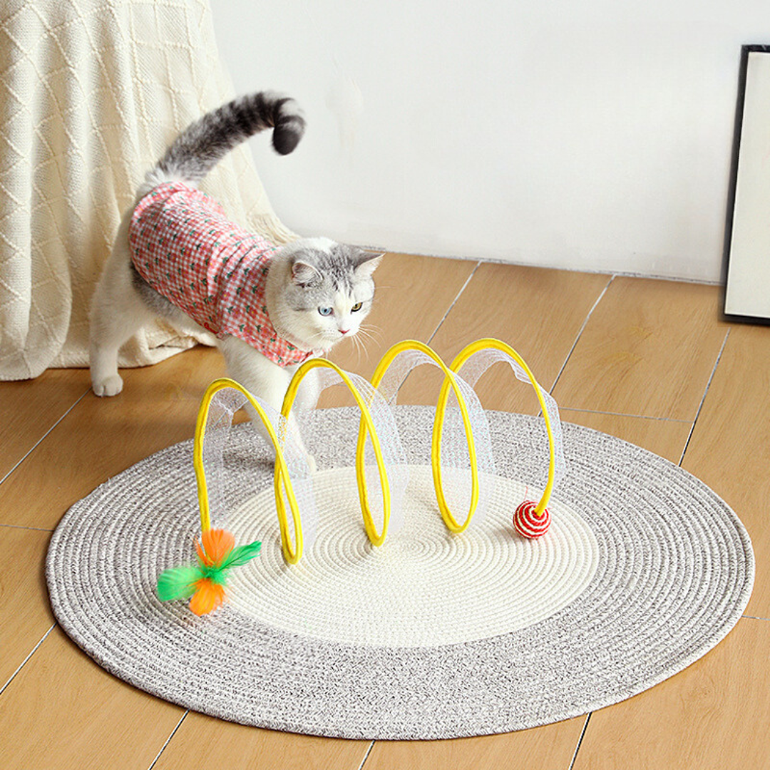 Fun Cat Spiral Play Toy
