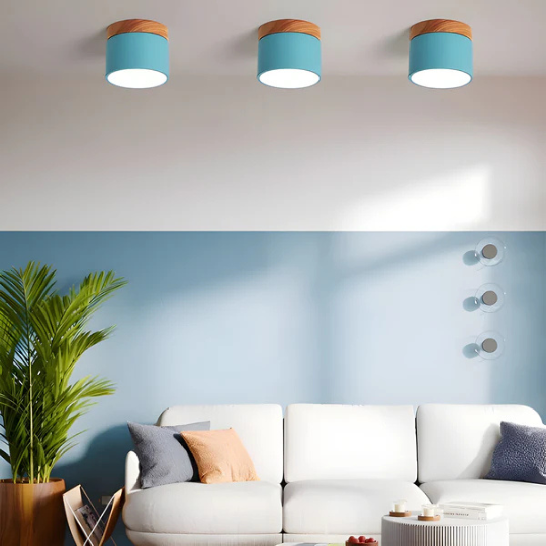 Classic Retro Style LED Light Fixture
