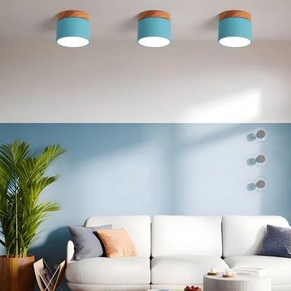 Classic Retro Style LED Light Fixture