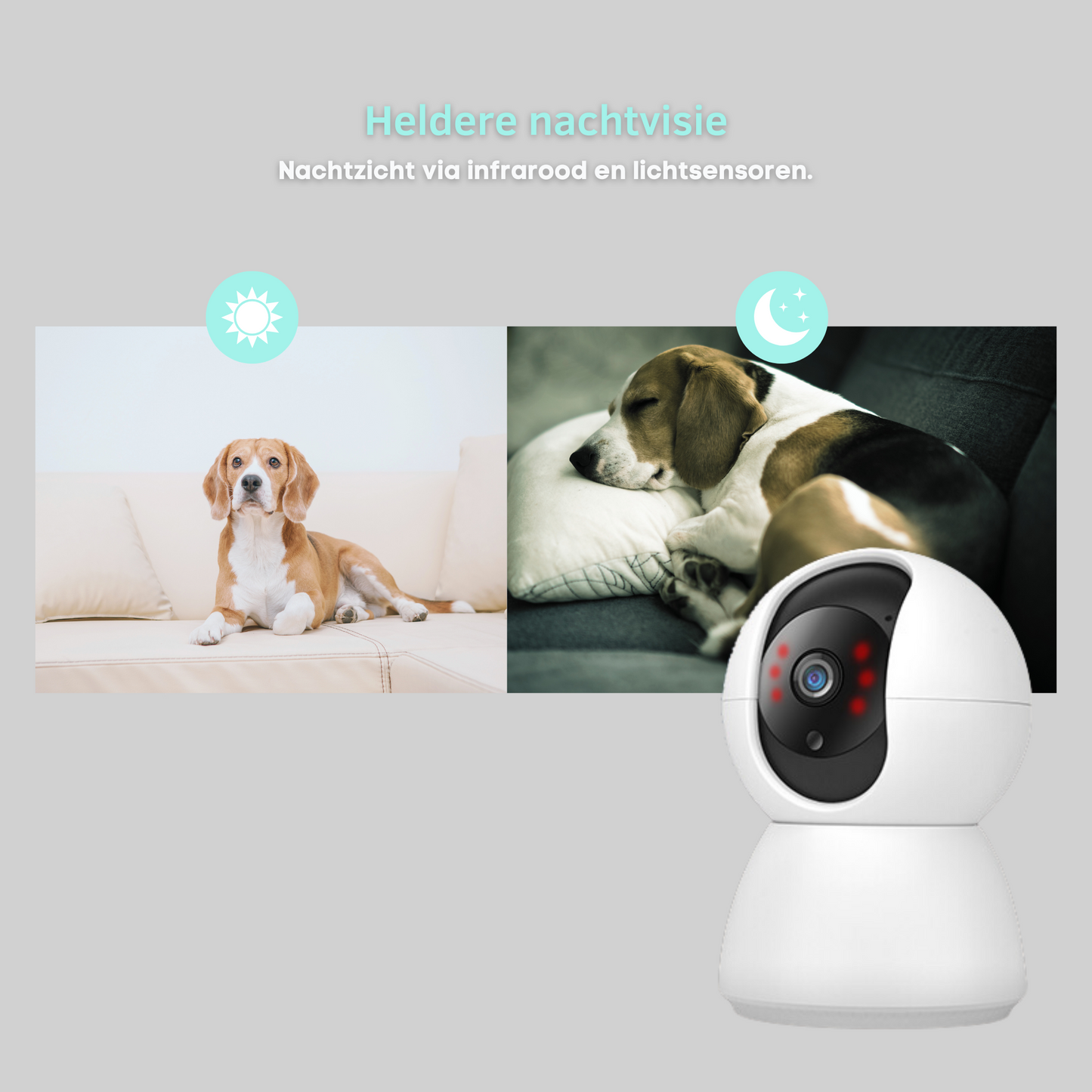 Befez Pet Monitoring Wi-Fi Camera