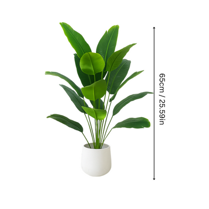 Fresh Befez EverGreen - Befez