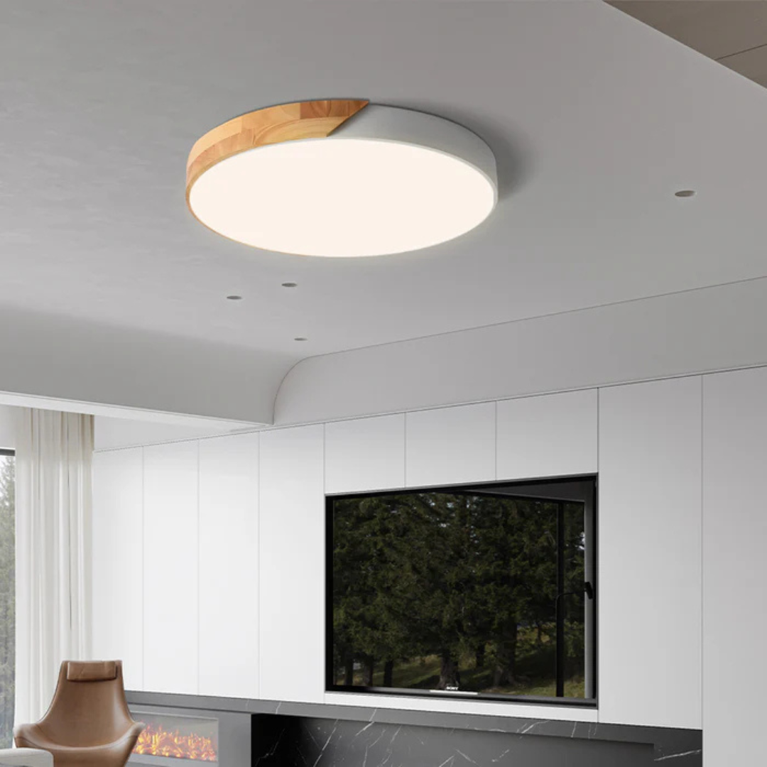 Modern Nordic LED Ceiling Light