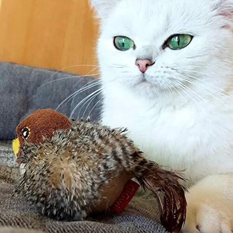 Fun Feather Teaser Toy