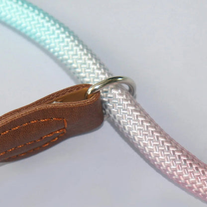 Vibrant Pet Leash for Stylish Dog Walking