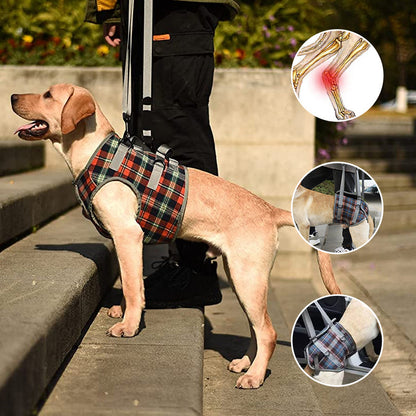 Supportive Dog Leg Brace Strap