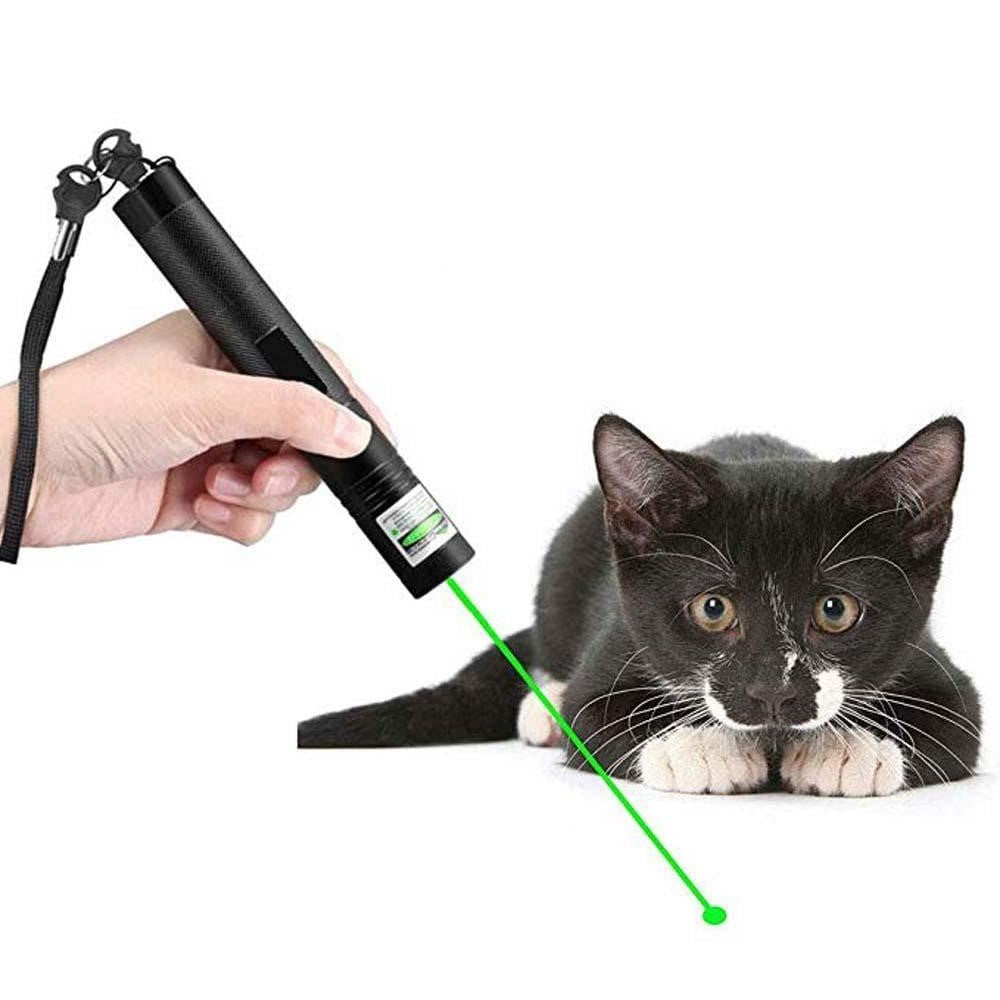 Powerful Red Laser Pen