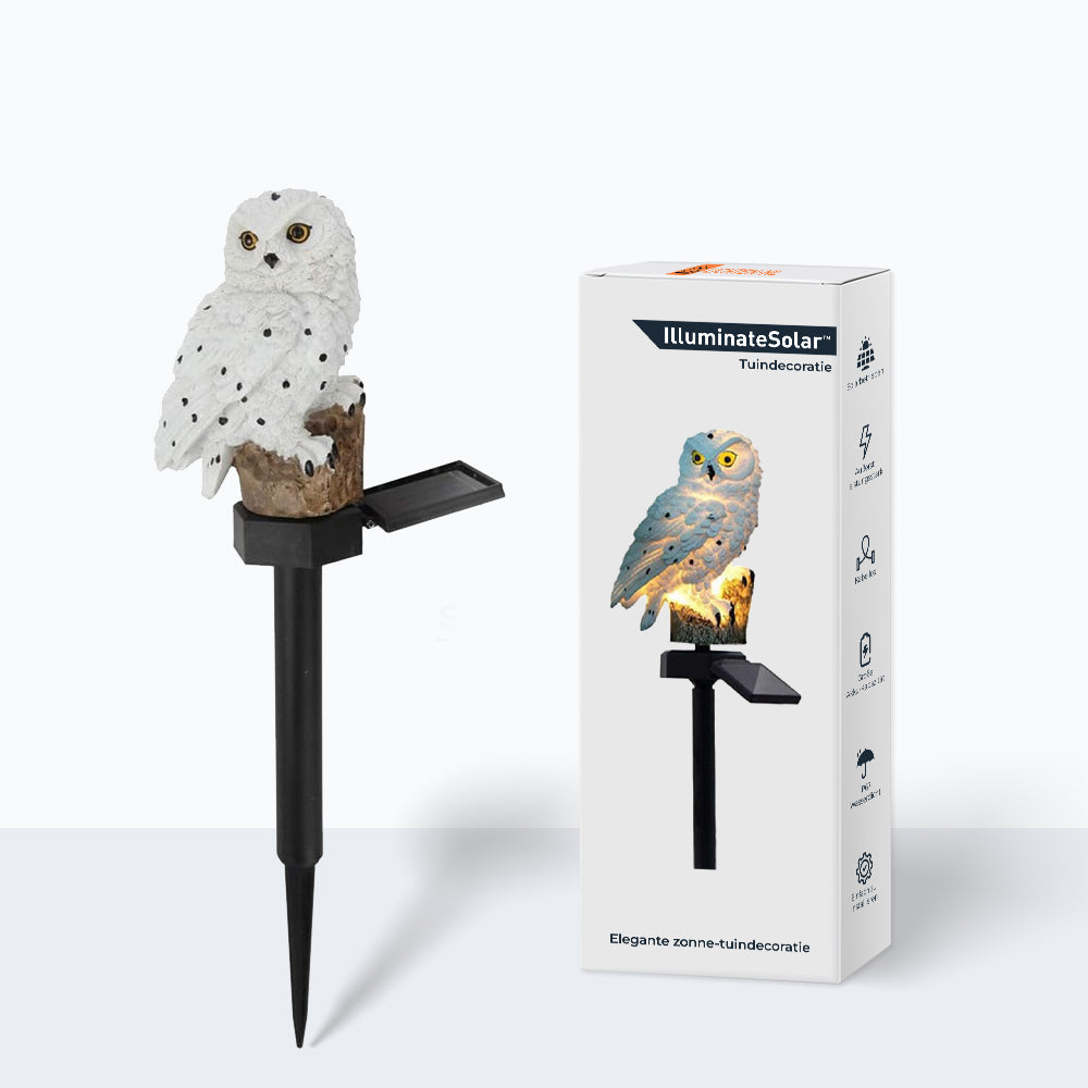 Bright Outdoor Solar Powered Lantern - Befez