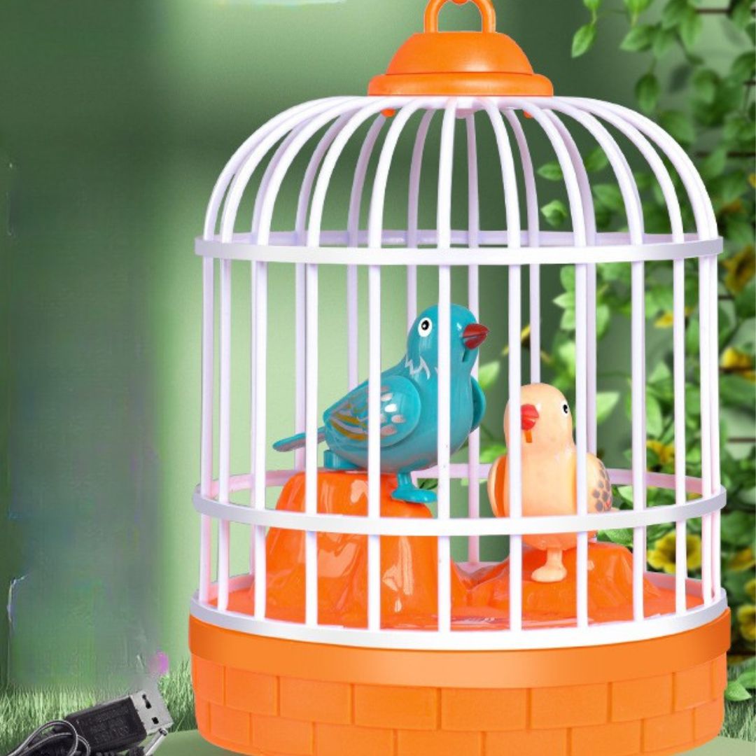 Colorful Birds Singing Cage Kid's Play Toy