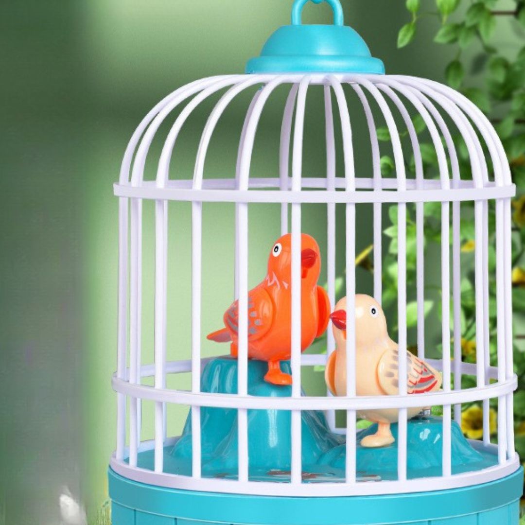 Colorful Birds Singing Cage Kid's Play Toy - Befez