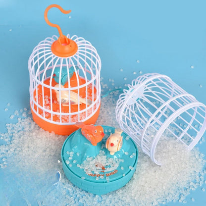 Colorful Birds Singing Cage Kid's Play Toy