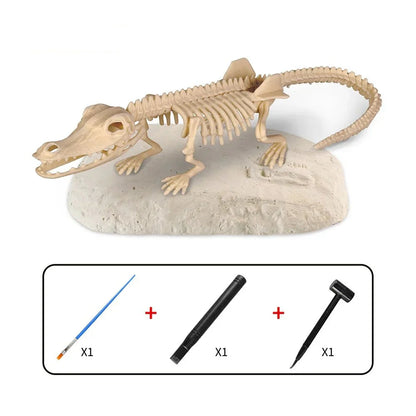 Dino Fossil Excavation Kit - Dig and Discover Set