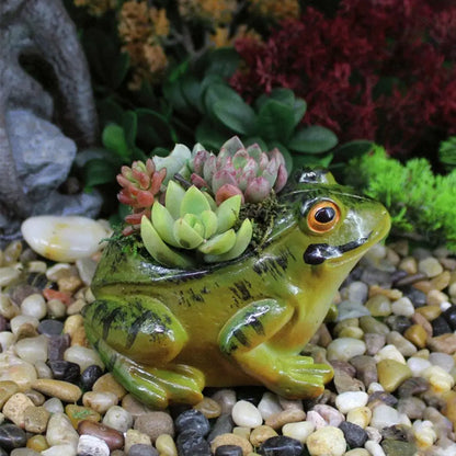 Fun Small Air Plant Terrarium Pot
