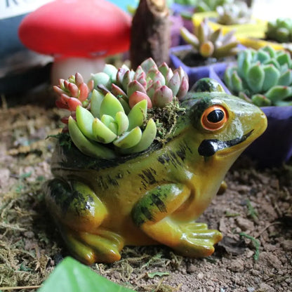 Fun Small Air Plant Terrarium Pot