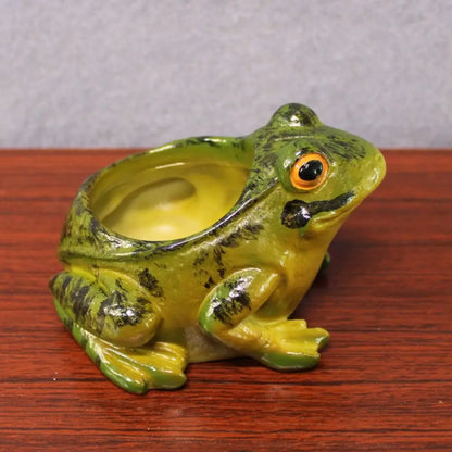 Fun Small Air Plant Terrarium Pot