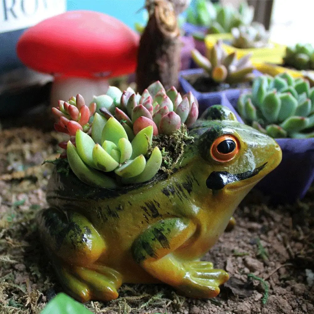 Fun Small Air Plant Terrarium Pot
