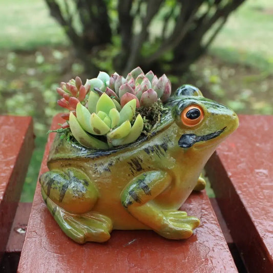 Fun Small Air Plant Terrarium Pot - Befez