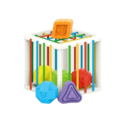 Educational Kids Sorting Toy Block Cube - Befez