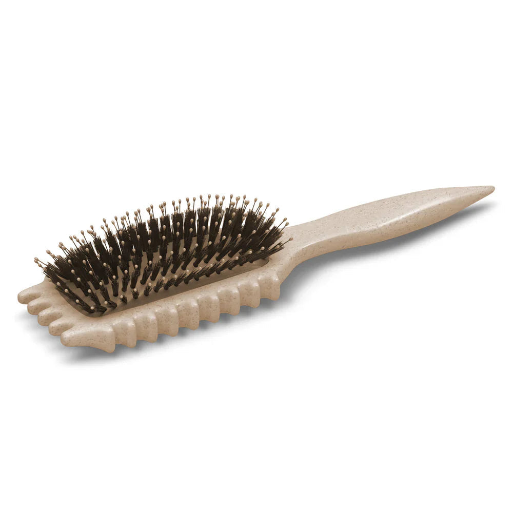 Gentle Curl Detangling Brush for Smooth Hair